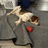 Rudy photo 5