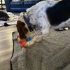 Rudy photo 6