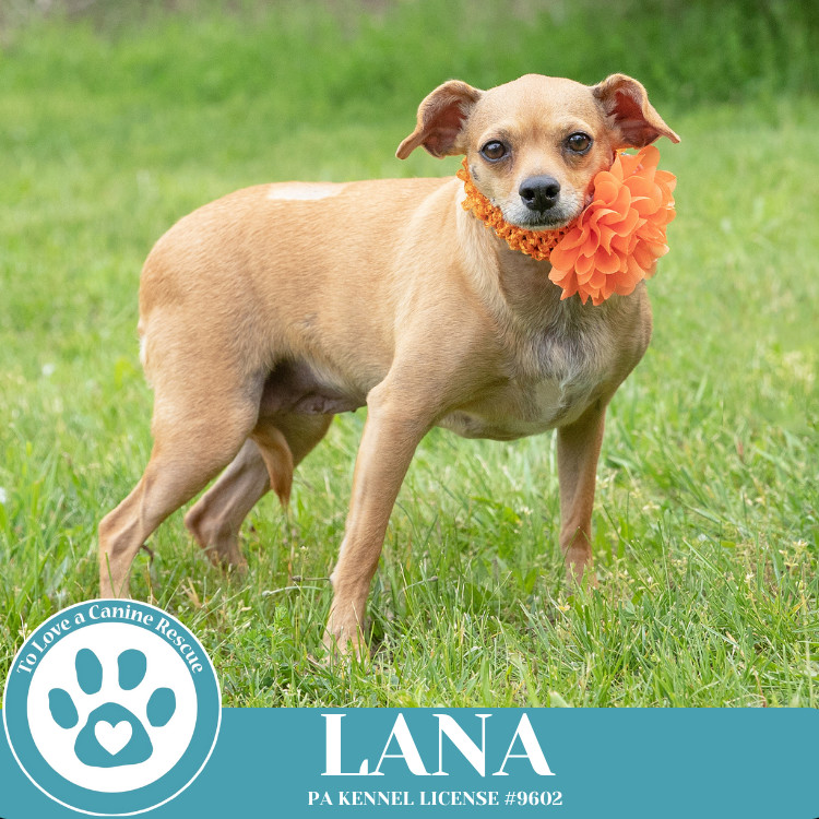 Lana (Mom to Dakota) 120724