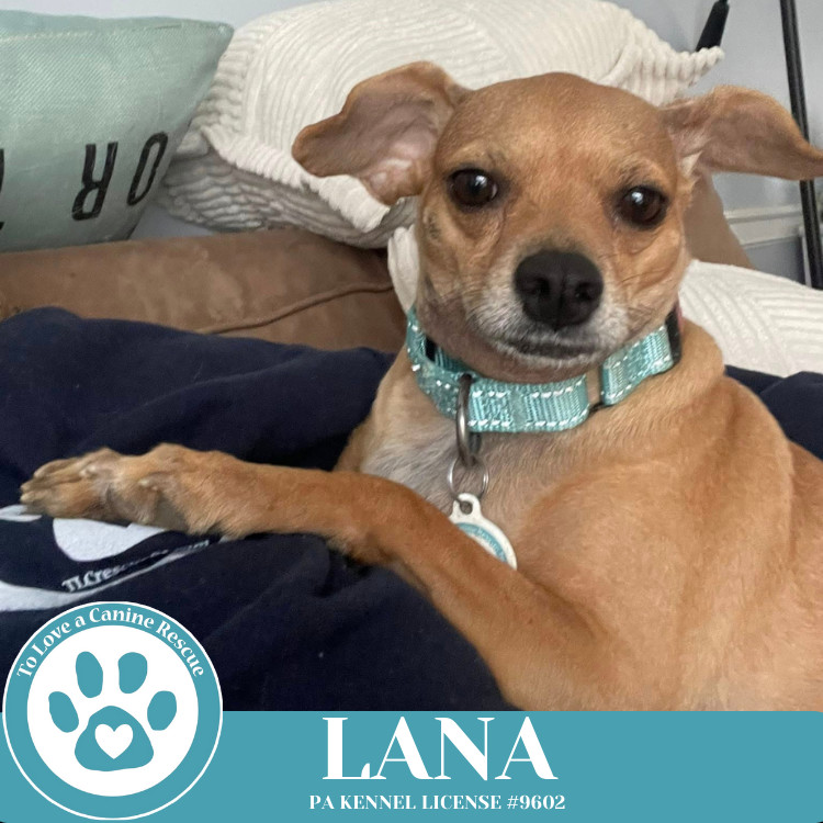 Lana (Mom to Dakota) 120724