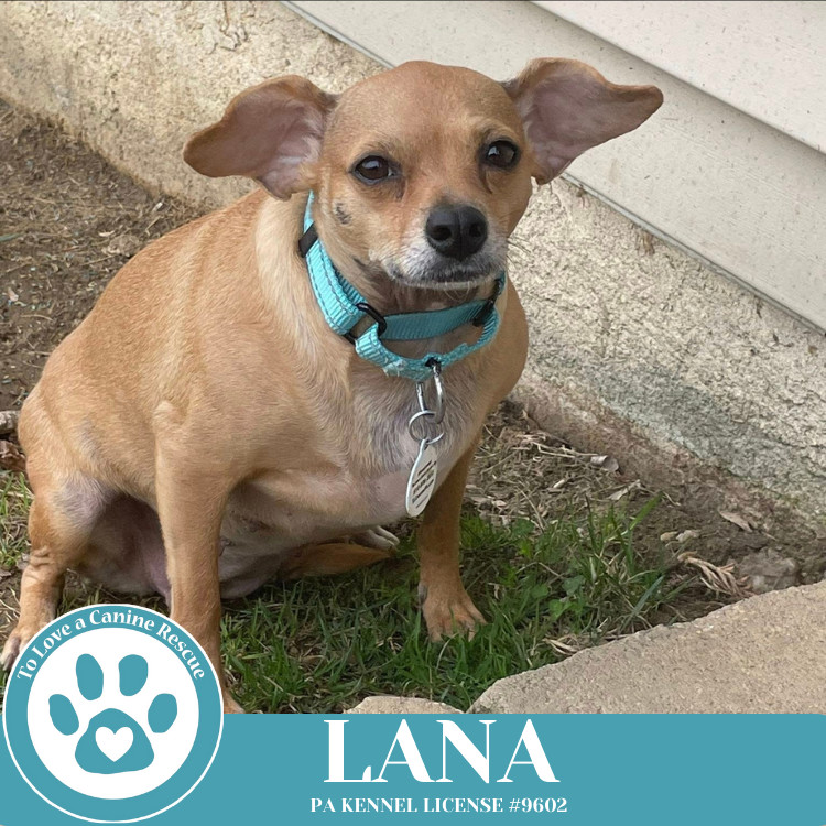 Lana (Mom to Dakota) 120724