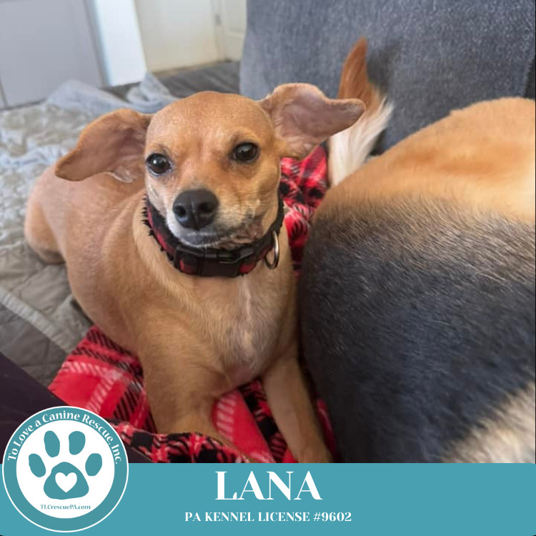 Lana (Mom to Dakota) 120724