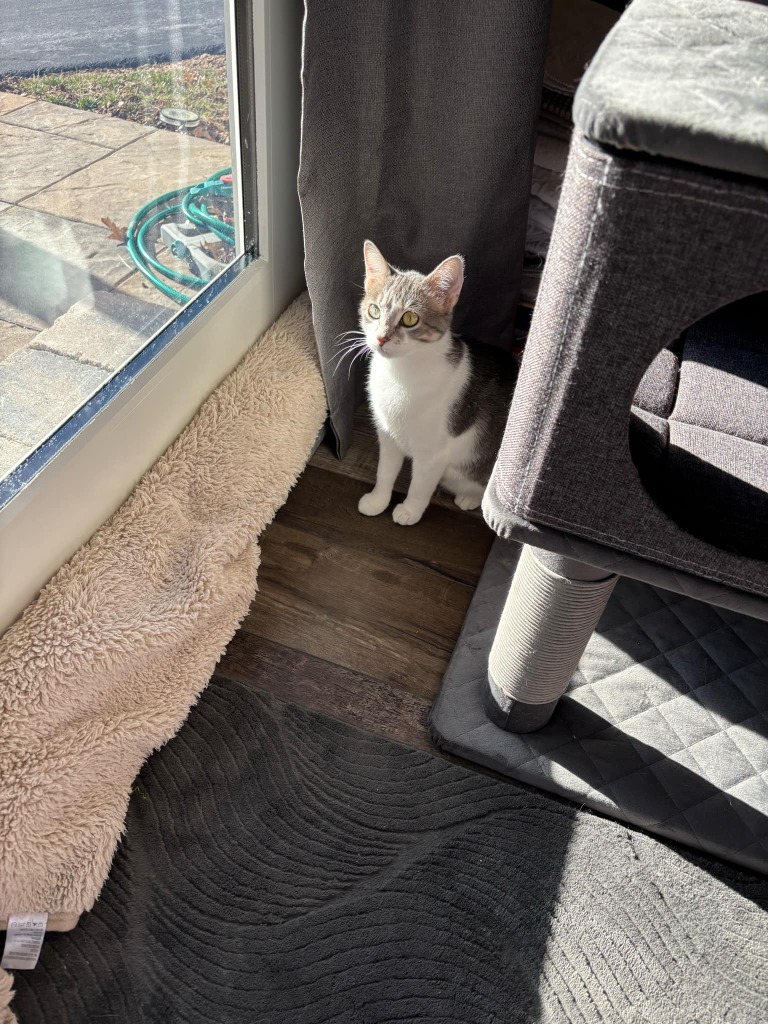 Missie