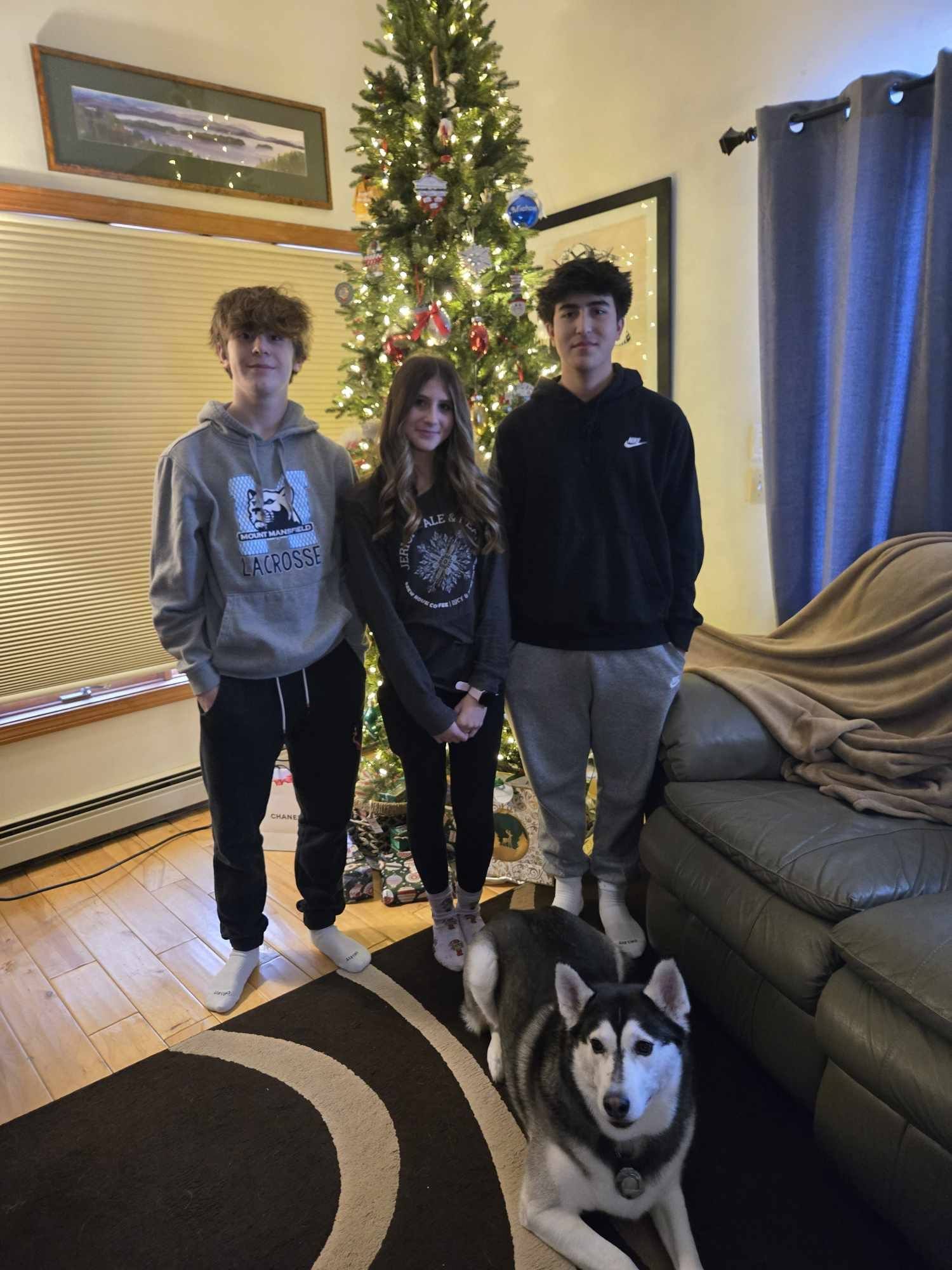 Ferda aka Katniss, an adoptable Mixed Breed in Shelburne, VT, 05482 | Photo Image 3