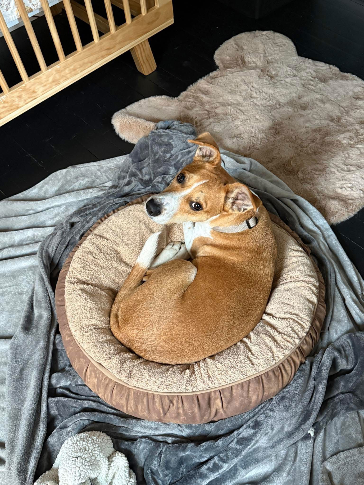 Milo