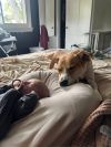 Milo photo 3