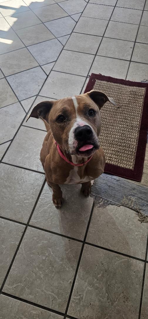 ADELYNN