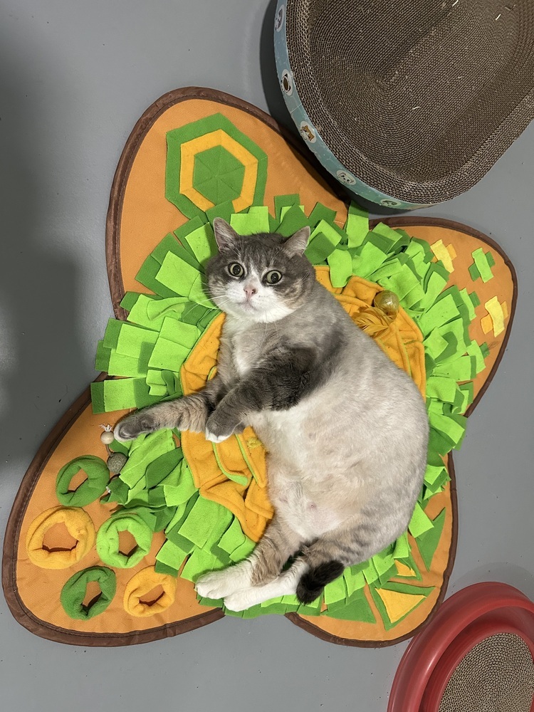 Butters