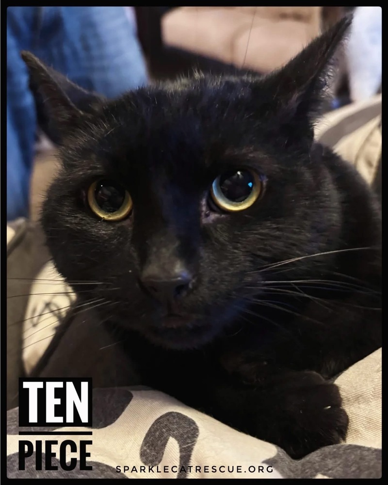 TEN PIECE