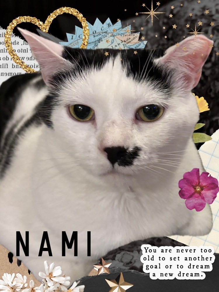 NAMI