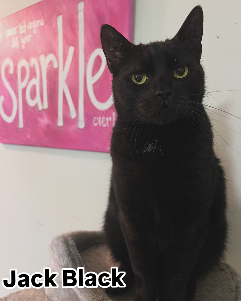 JACK BLACK-born 2021