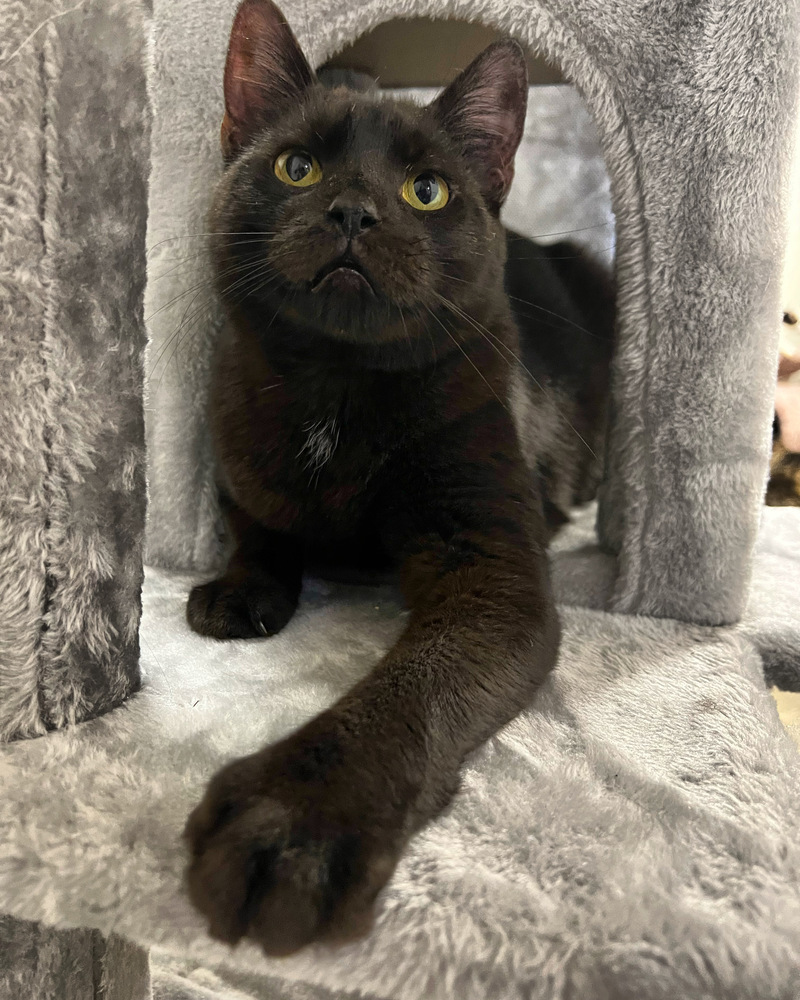 JACK BLACK-born 2021