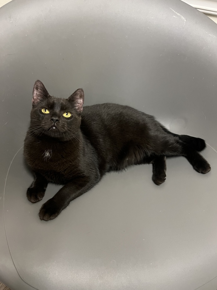 JACK BLACK-born 2021