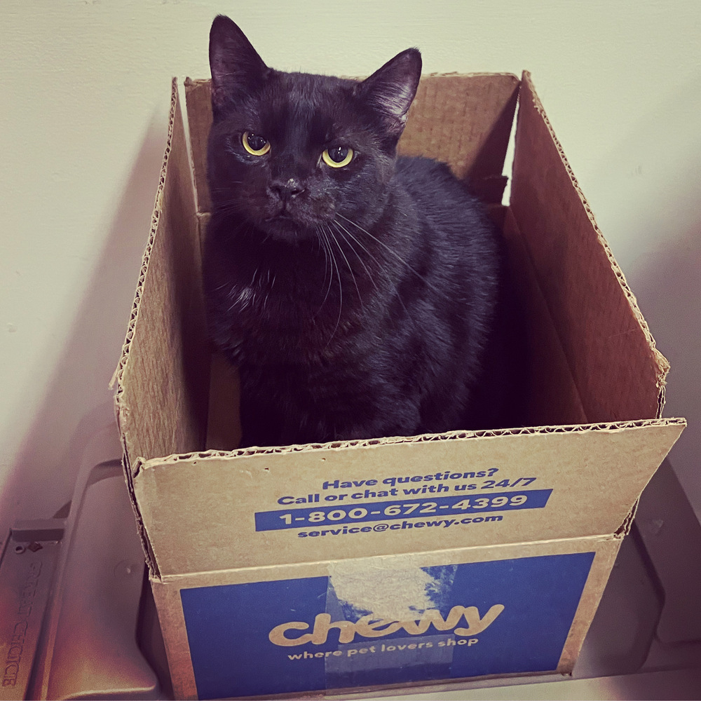 JACK BLACK-born 2021