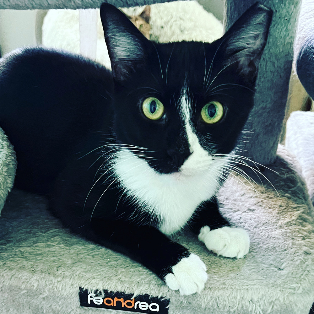 SETH-born early 2022