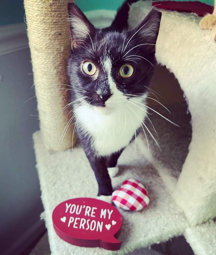 SETH-born early 2022