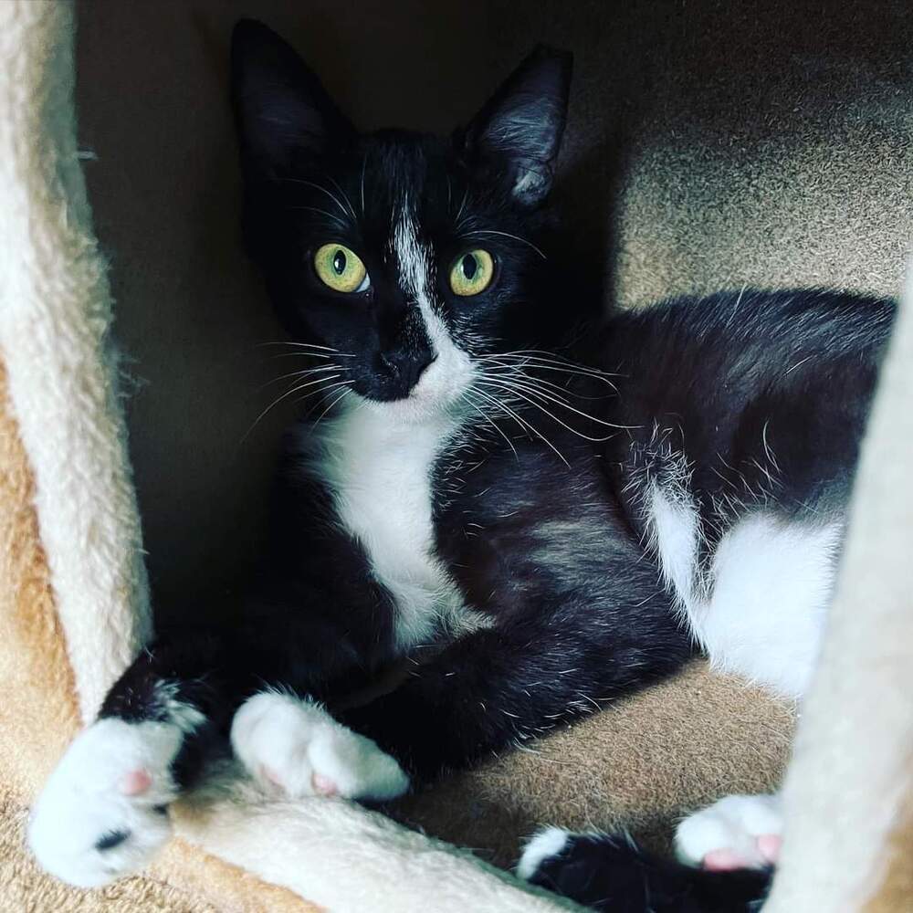 SETH-born early 2022