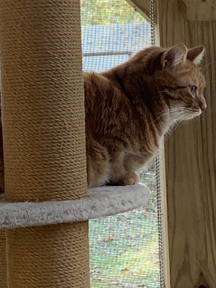 SAMMY (Sage)