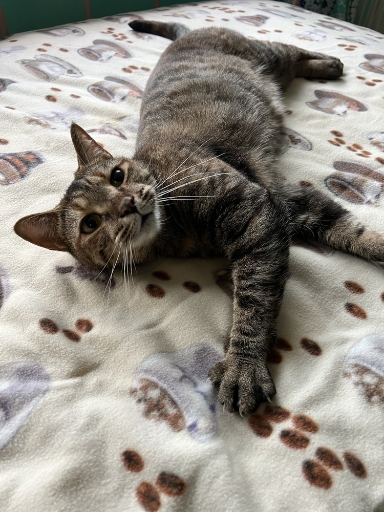 HEMERA-read my bio - unique personality