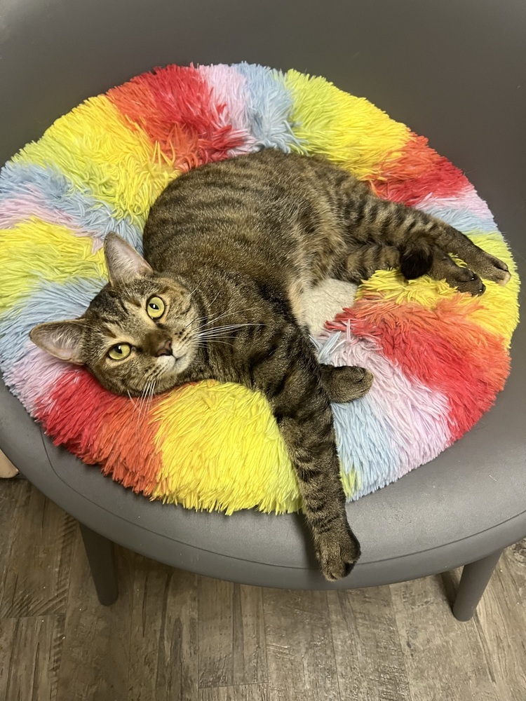 HEMERA-read my bio - unique personality