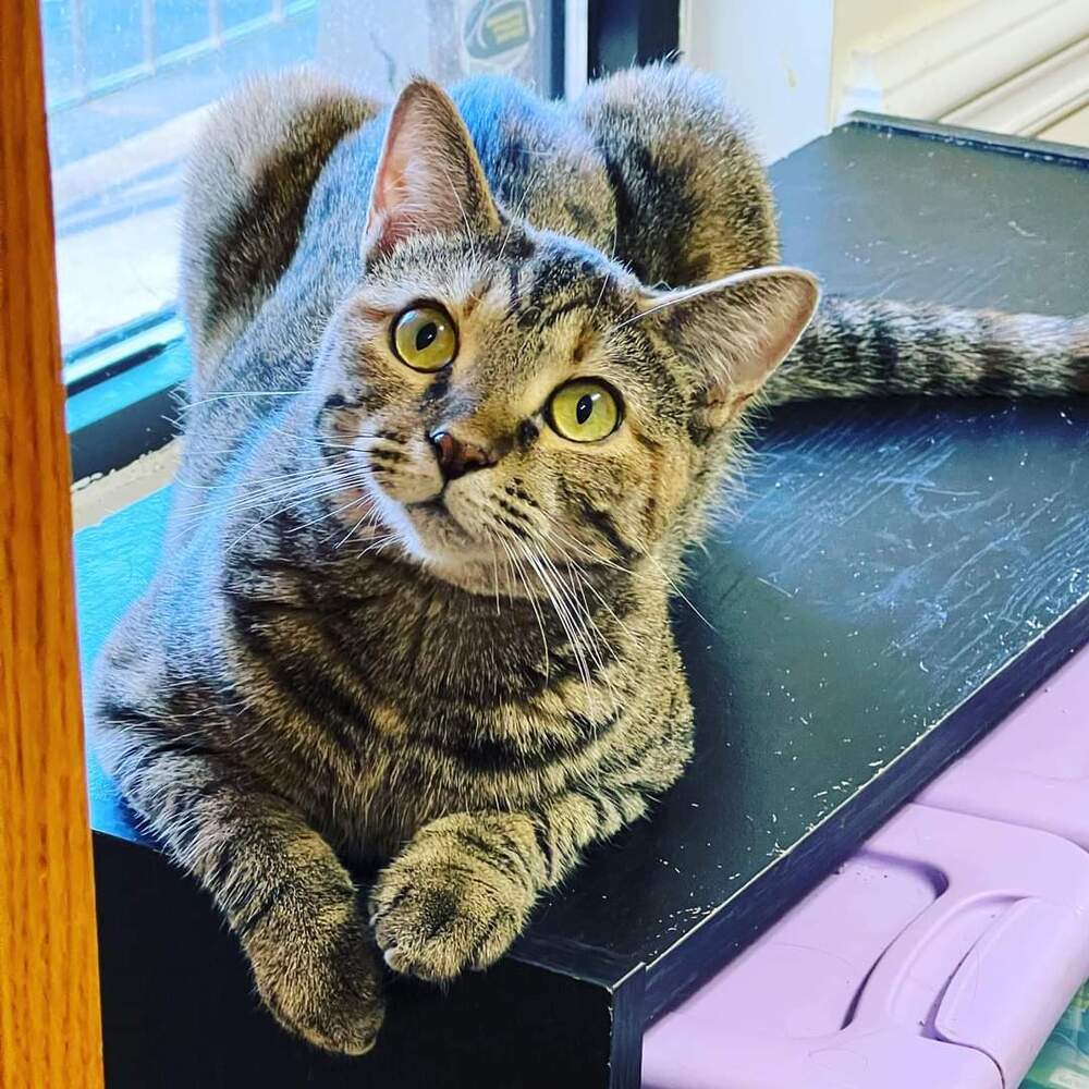 HEMERA-read my bio - unique personality