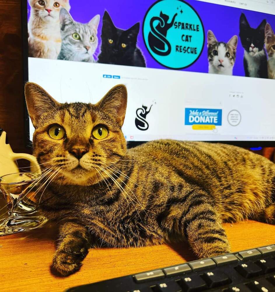 HEMERA-read my bio - unique personality