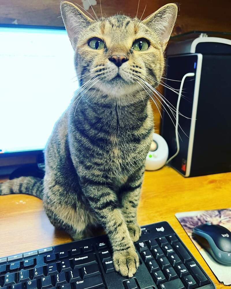 HEMERA-read my bio - unique personality