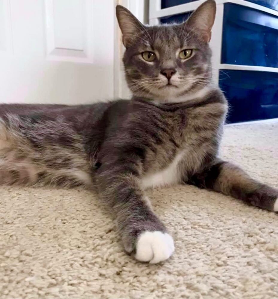 DIEGO-bonded with mystique