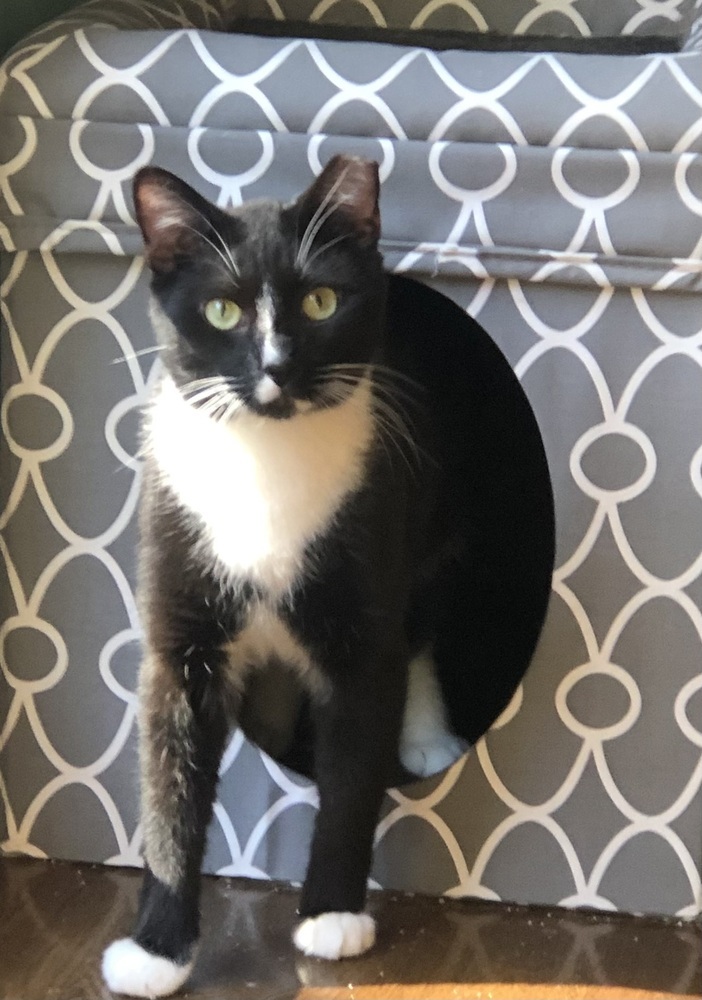 LARRY (DOB ~DECEMBER 2021)