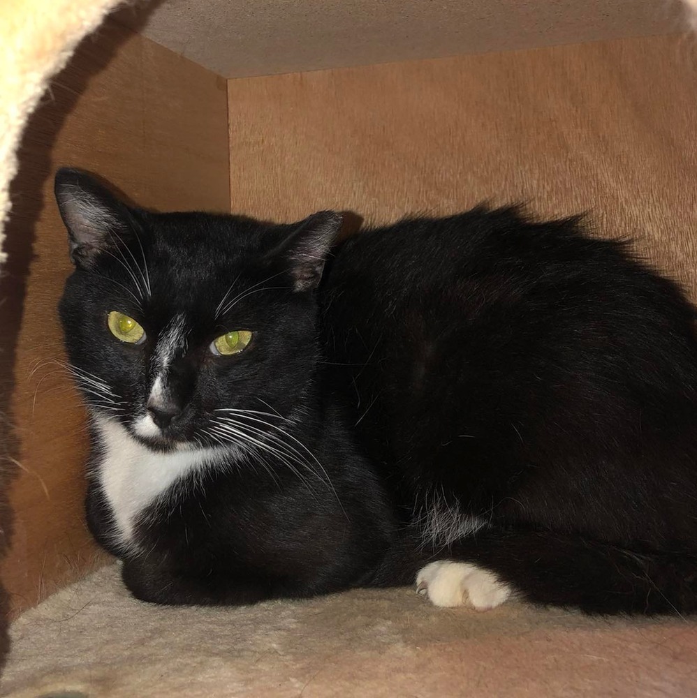 LARRY (DOB ~DECEMBER 2021)