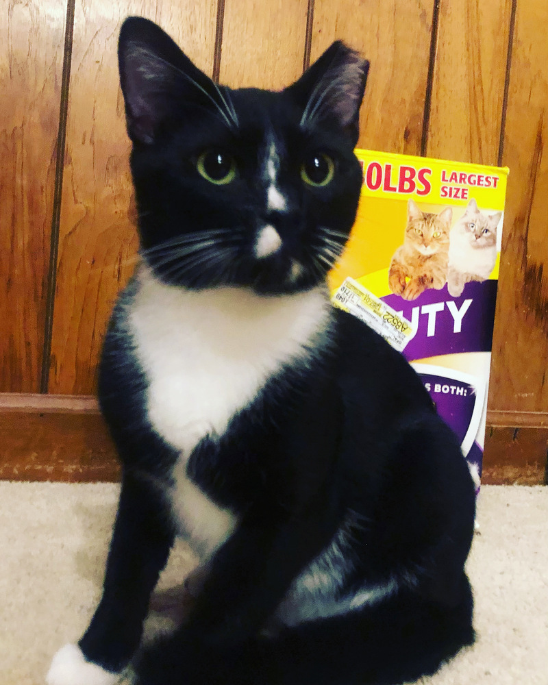 LARRY (DOB ~DECEMBER 2021)