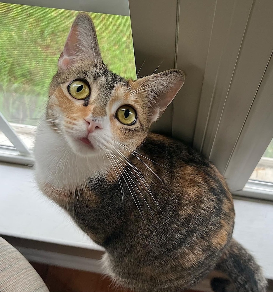 CARMELLA-born Jan 2022