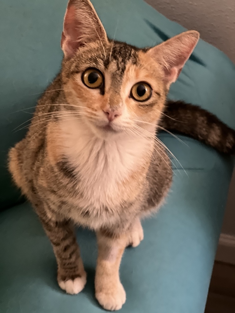 CARMELLA-born Jan 2022