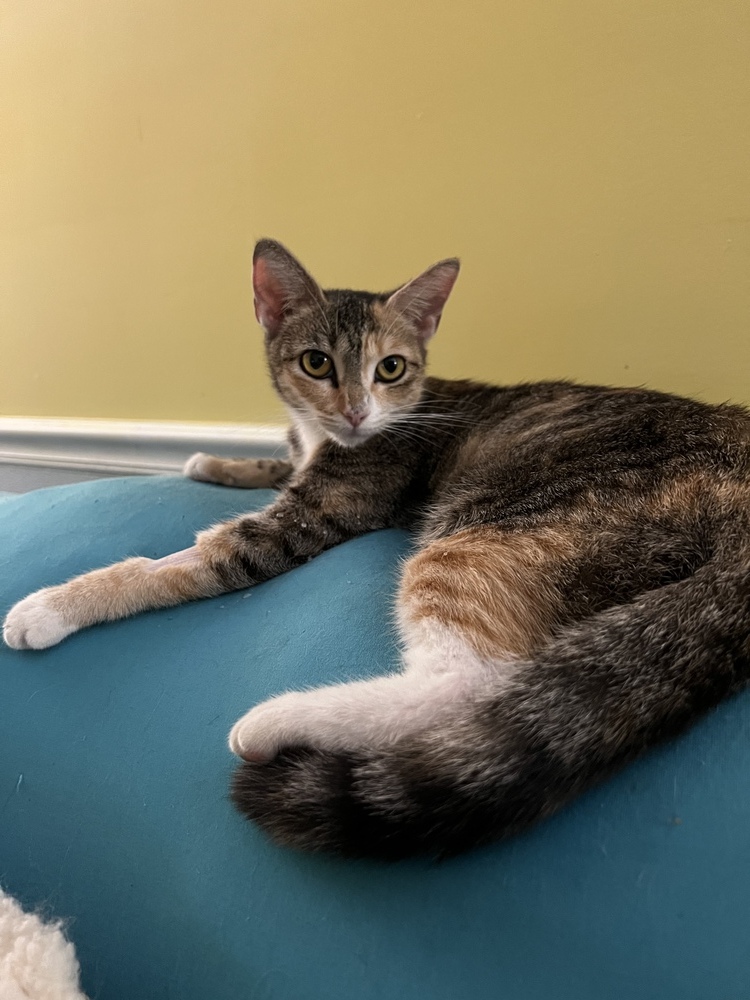 CARMELLA-born Jan 2022