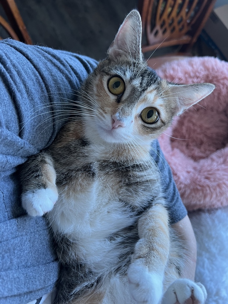 CARMELLA-born Jan 2022