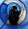 DUSTIN-Fiv+ very sweet photo 1
