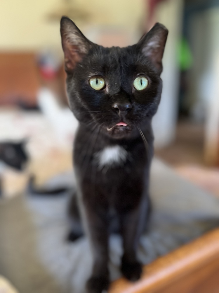 DUSTIN-Fiv+ very sweet