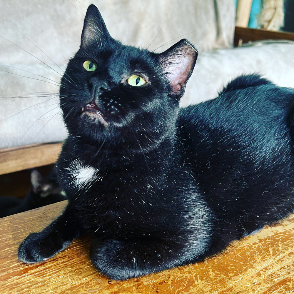 DUSTIN-Fiv+ very sweet