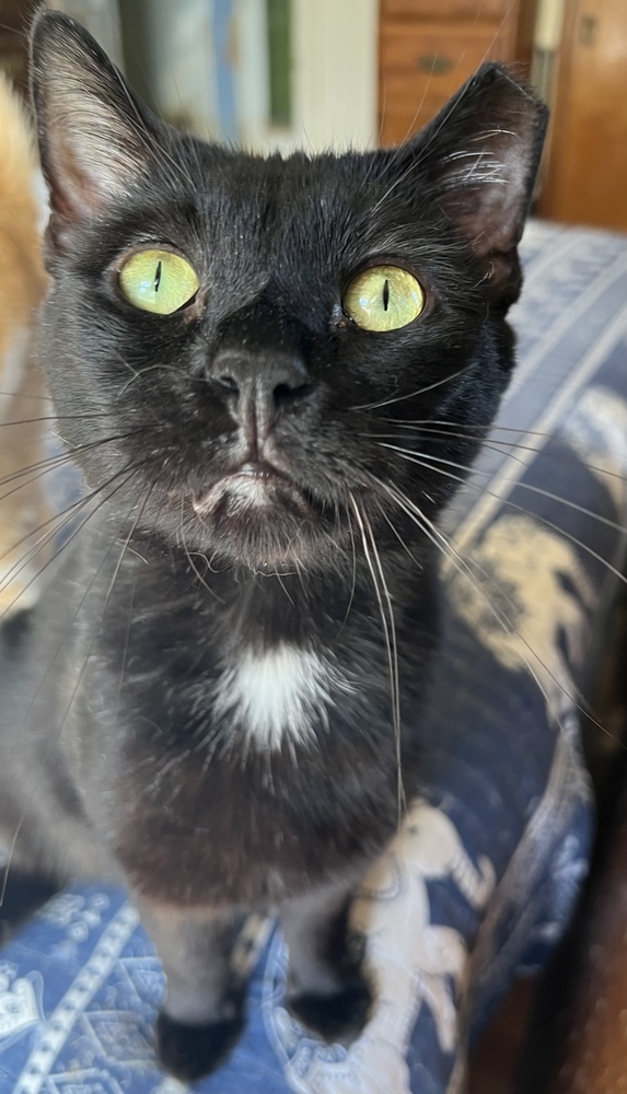 DUSTIN-Fiv+ very sweet