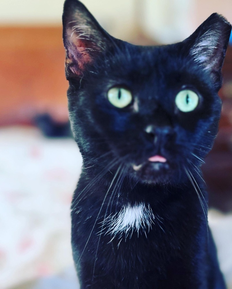 DUSTIN-Fiv+ very sweet