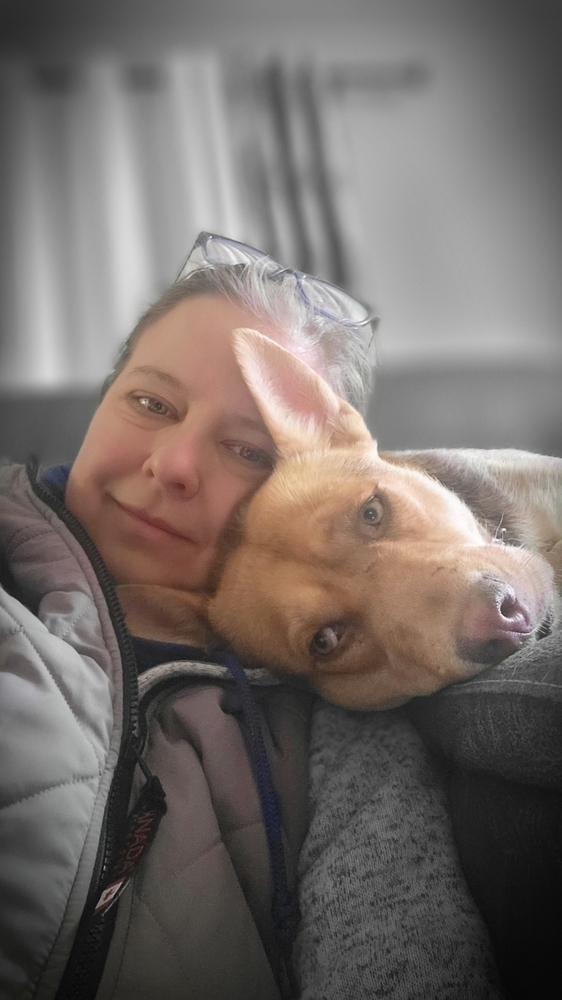 Honey, an adoptable Shepherd in Cortez, CO, 81321 | Photo Image 3