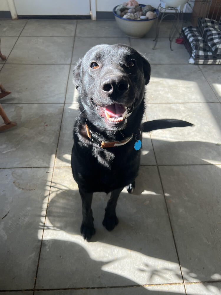 Journey (Zeus)