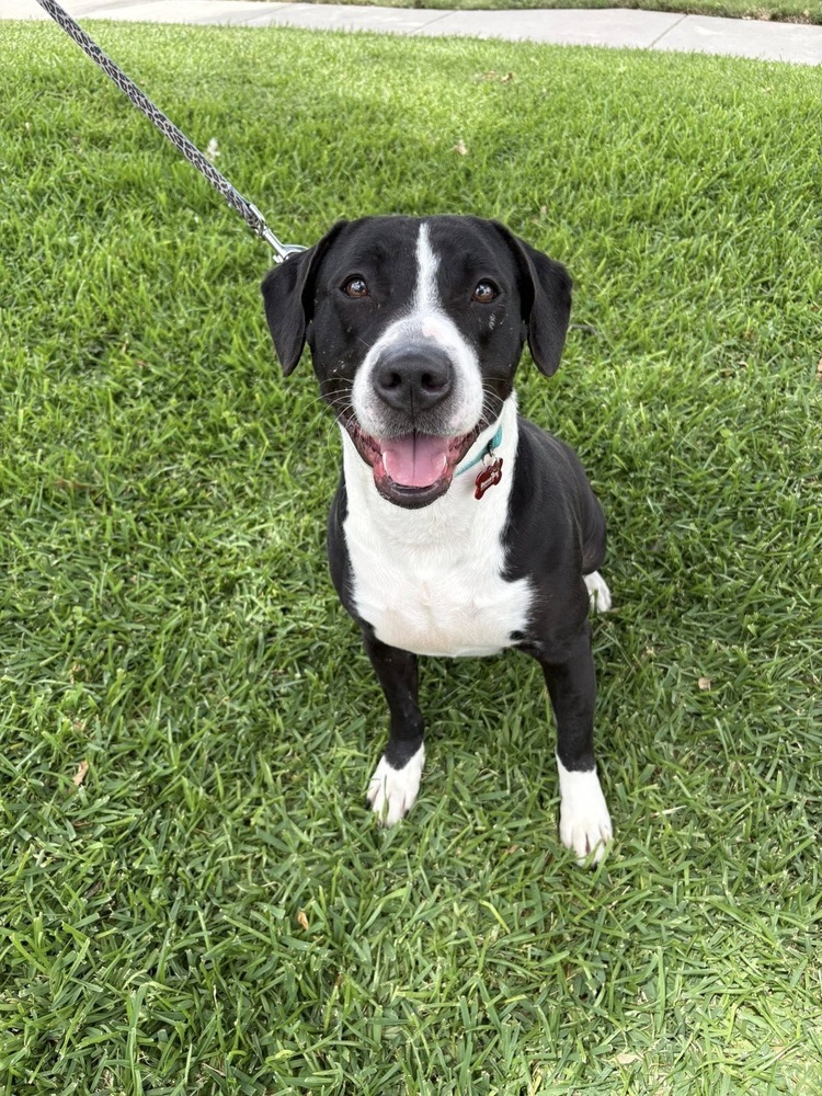 Maggie