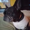 Kelly photo 3