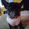 Kelly photo 5