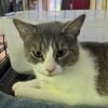 Mouse McCracken photo 2