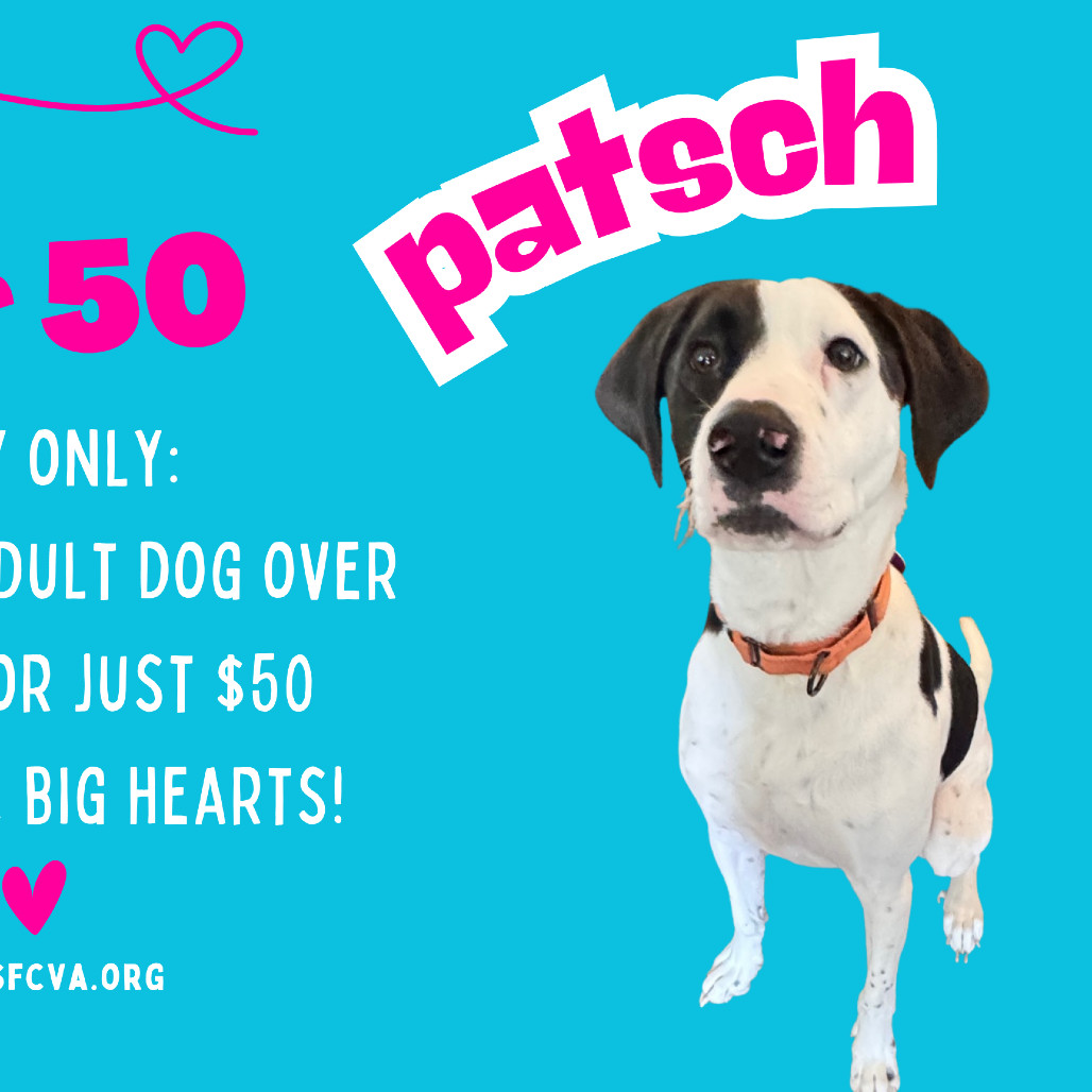 Patsch