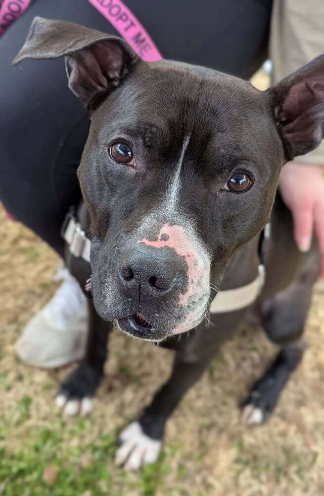 Eros