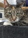 Sally photo 1