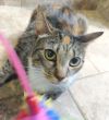 Sally photo 2